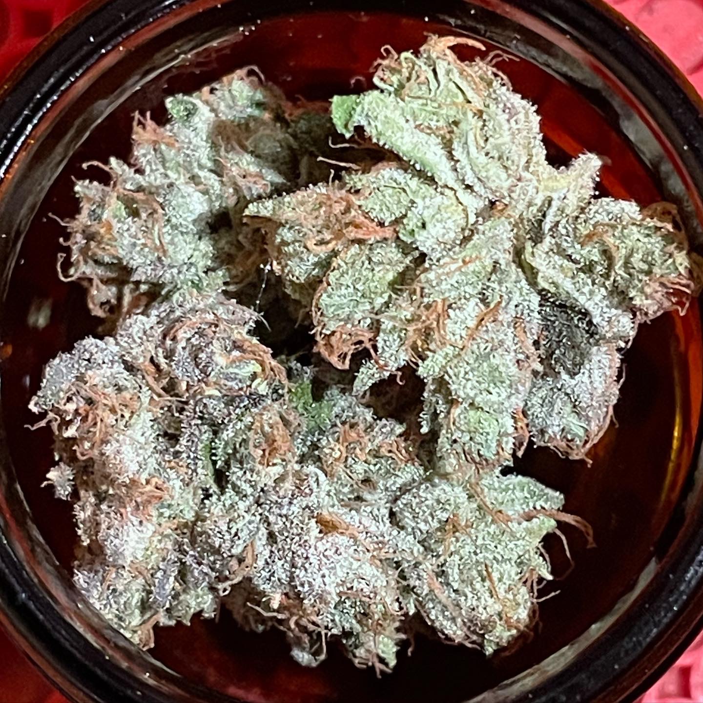 Khash Treemason – Z-Face – Dagga Academy