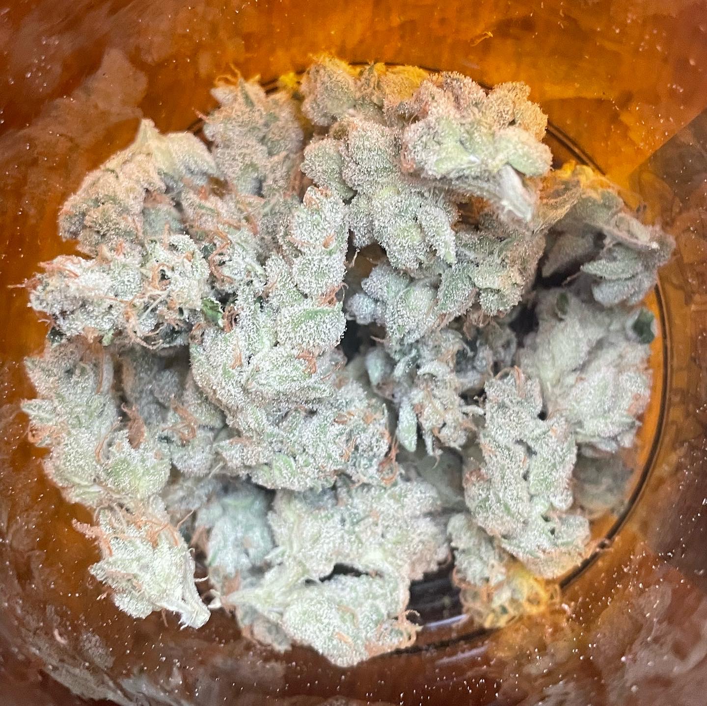 Khash Treemason GMA’s Cookies Dagga Academy