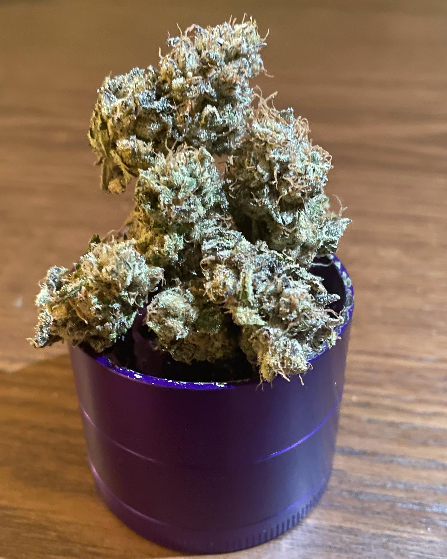 272718830_962573581054403_5054